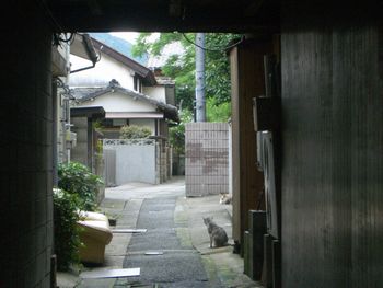 b0061107_9423472.jpg