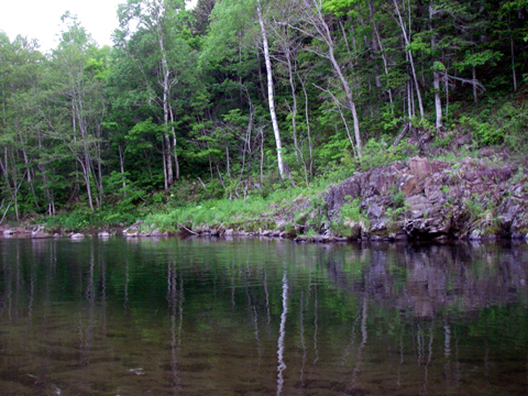 d0051707_2022681.jpg