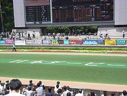 e0087008_1136672.jpg