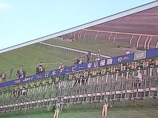 e0087008_11382478.jpg