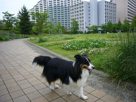 e0130008_21551873.jpg