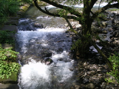 e0117613_9444720.jpg