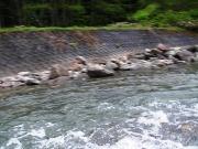 a0097823_1050729.jpg