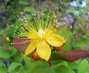 f0036223_8102495.jpg