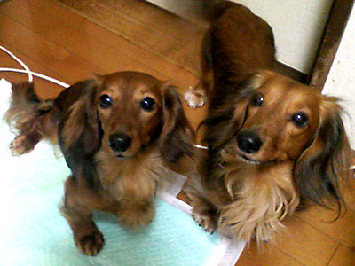 c0079626_10235729.jpg