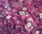 c0137328_9462194.jpg