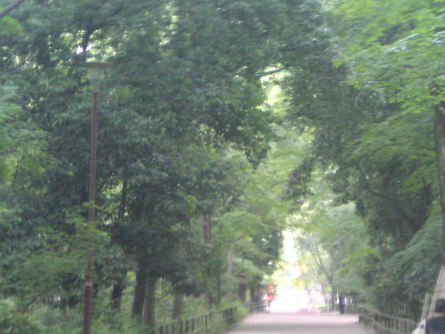 e0016828_22402655.jpg