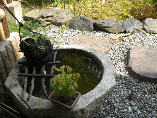 f0111128_0335120.jpg
