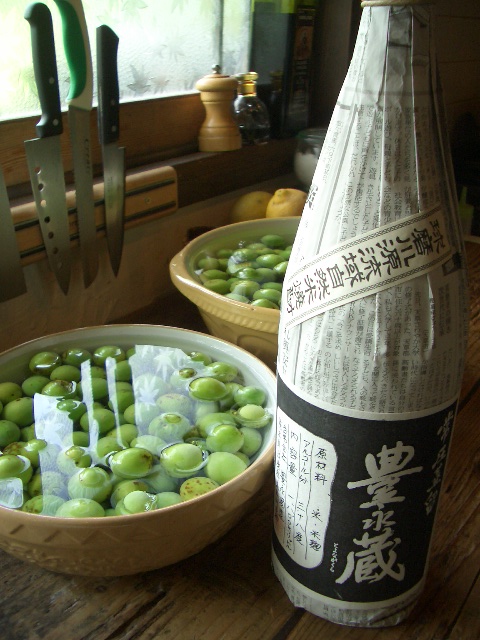 c0115539_13262993.jpg