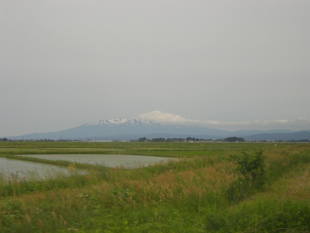 e0025240_1244292.jpg