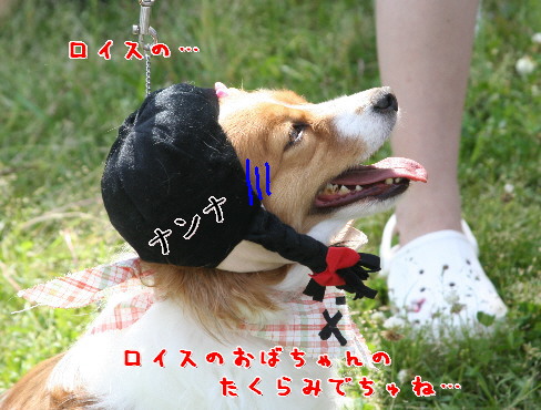 d0013149_15233193.jpg