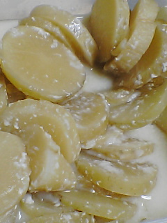 e0085052_219991.jpg