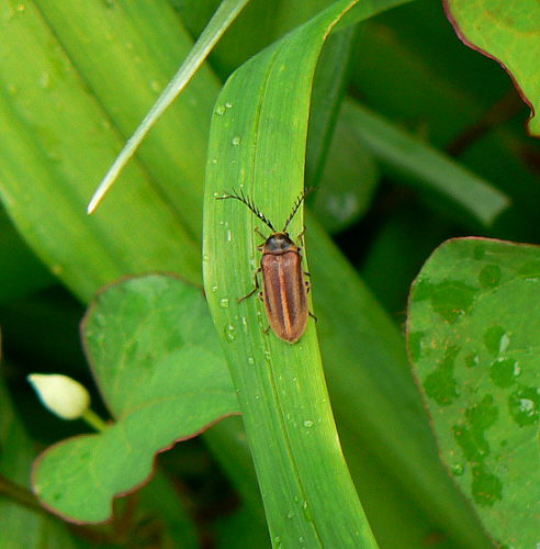 d0091754_2592369.jpg