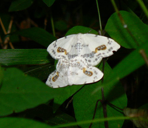 d0091754_3143353.jpg