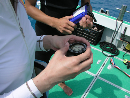 b0062363_2021481.jpg