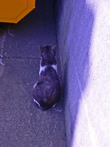 e0112077_1352075.jpg