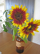 a0062983_1036358.jpg