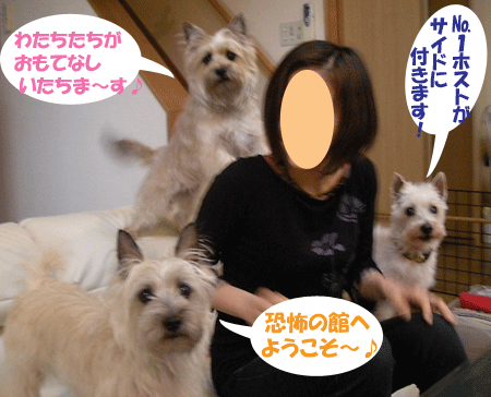 e0066883_1829286.gif