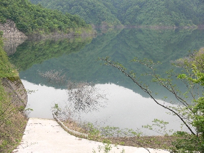 f0103688_22505437.jpg