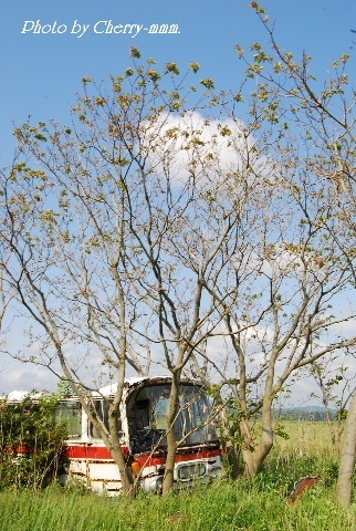c0156789_16215437.jpg