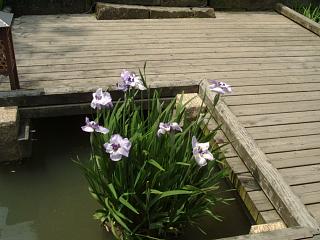 d0143192_1712117.jpg