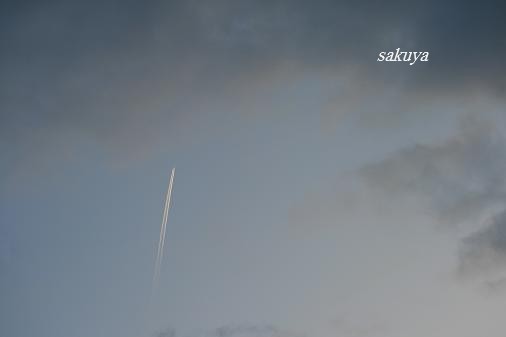 e0122194_2159796.jpg