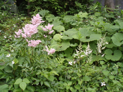 f0130894_2219531.jpg