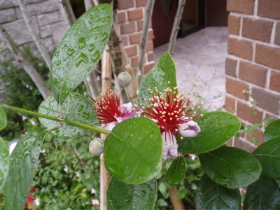 f0130894_22211611.jpg