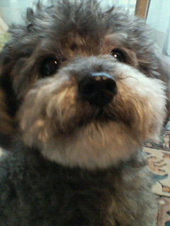 a0101000_15212960.jpg