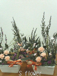 a0101000_15284666.jpg