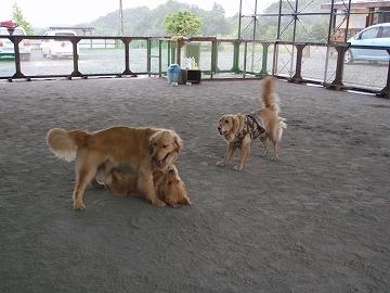d0080601_1959284.jpg