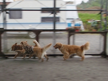 d0080601_20014100.jpg