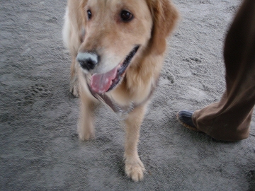 d0080601_202204.jpg