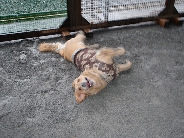 d0080601_2055645.jpg