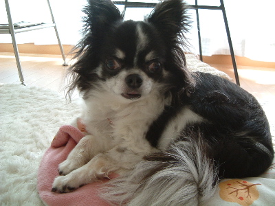 a0079803_23552425.jpg