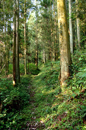 c0011009_14283893.jpg