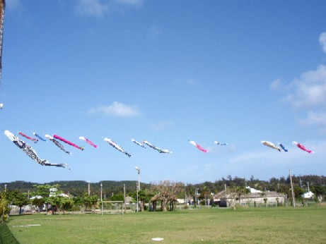 f0043911_1285987.jpg