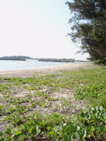 f0043911_1292298.jpg