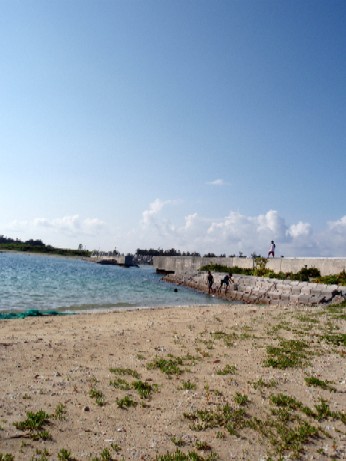 f0043911_1295162.jpg