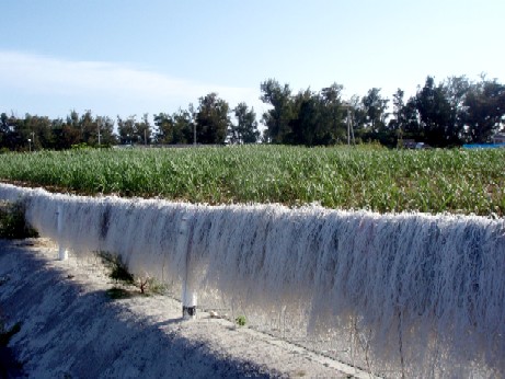 f0043911_1303343.jpg