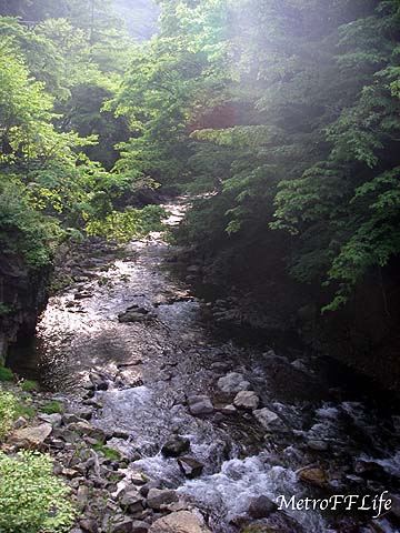 e0112722_1314389.jpg