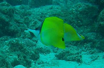 a0101525_1742421.jpg
