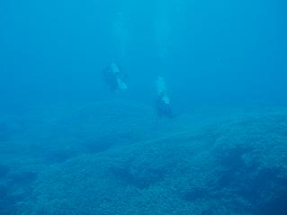a0101525_1754278.jpg