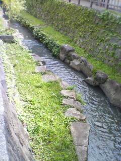 a0098027_16361036.jpg