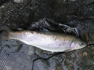 f0065341_0335090.jpg
