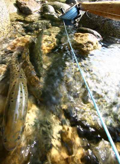 f0055244_10285447.jpg