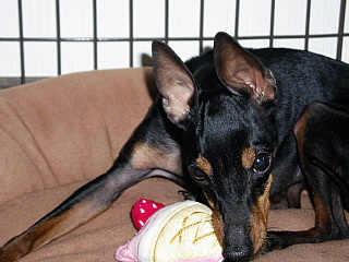 c0123149_11541216.jpg