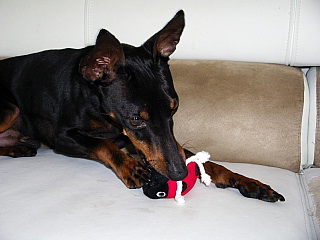 c0123149_126204.jpg