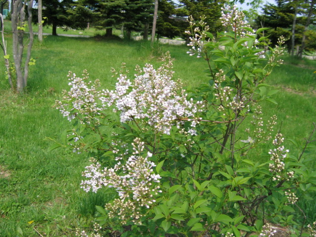 f0122259_18102893.jpg