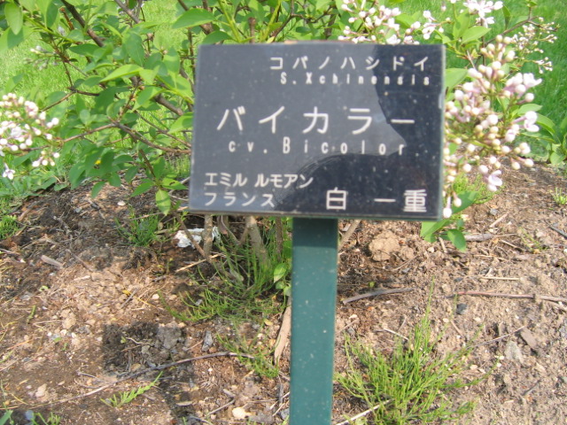 f0122259_18104728.jpg